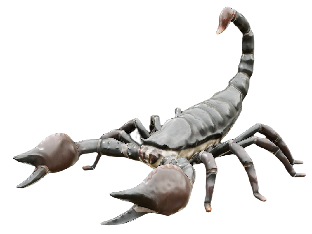 Scorpion