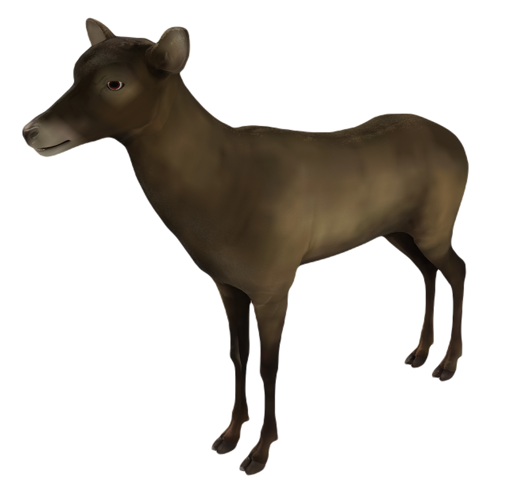 Corsican Deer female fur 0