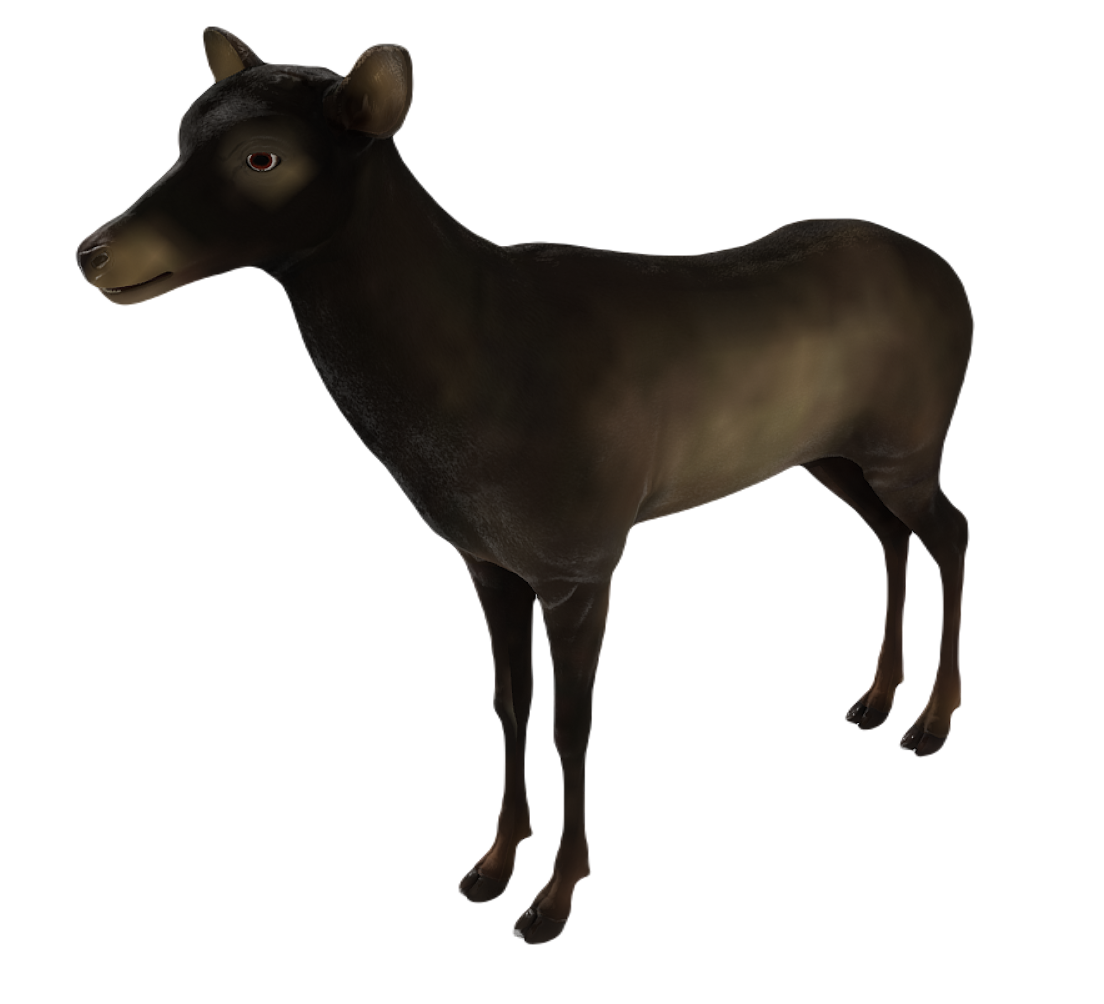 Corsican Deer female fur 2