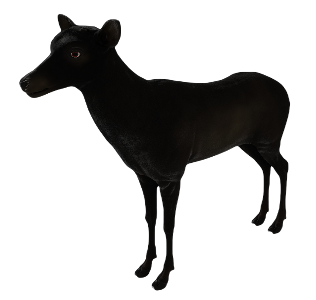 Corsican Deer female fur 3