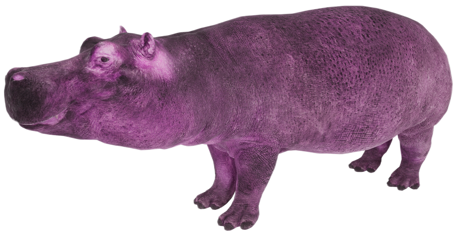Hippopotamus male fur 4
