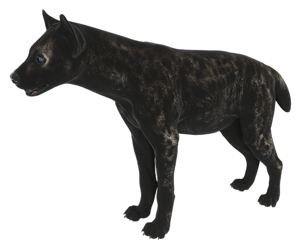 Hyena male fur 4