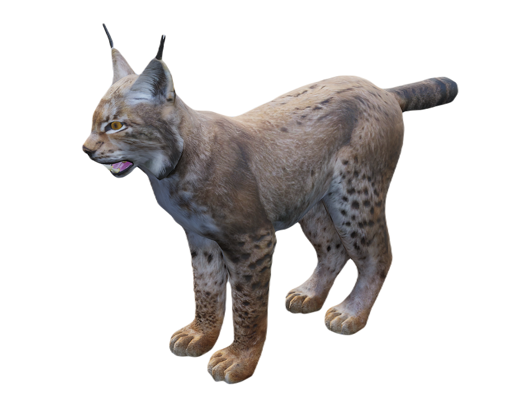 Lynx