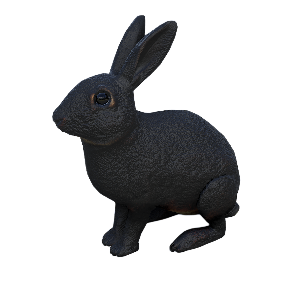 Ussuri Hare male fur 4