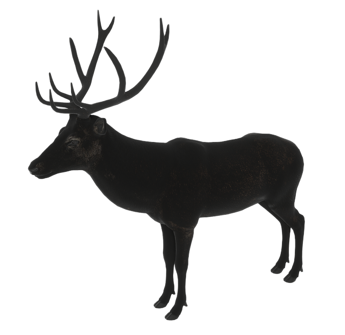 Red Deer male fur 4