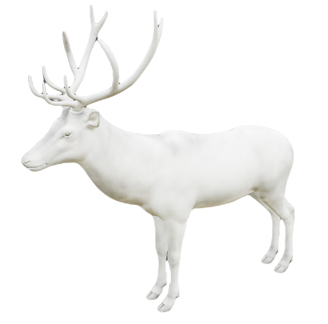 Red Deer male fur 6