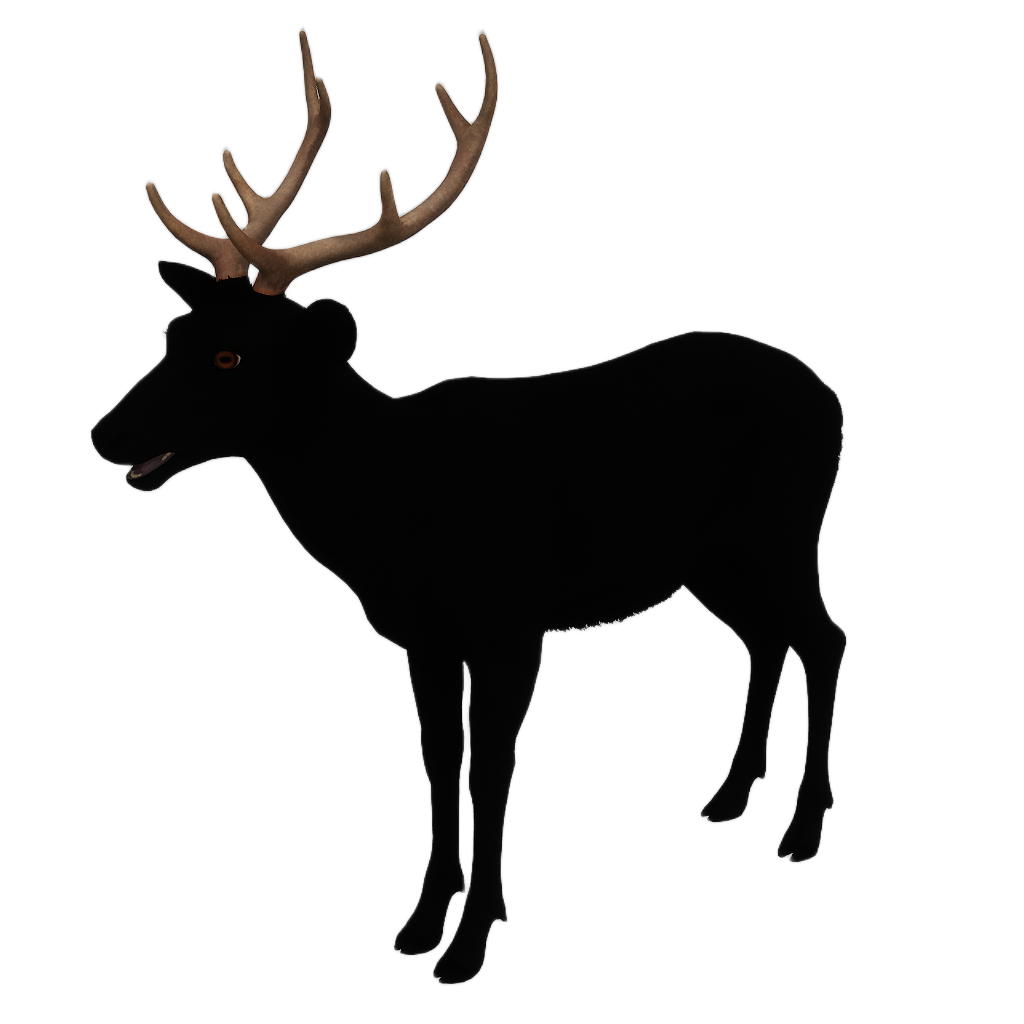 Sika Deer male fur 4