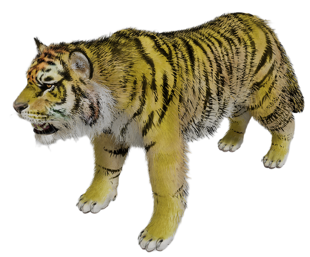 Tiger