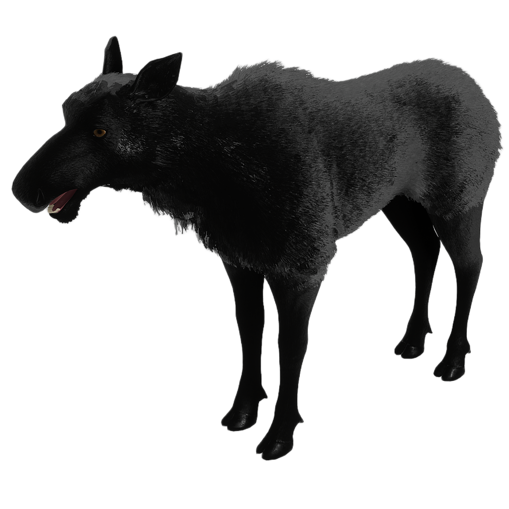Ussuri Moose female fur 4