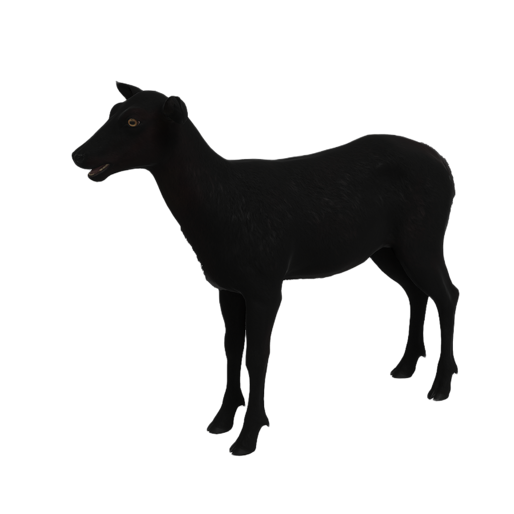 Ussuri Red Deer female fur 4