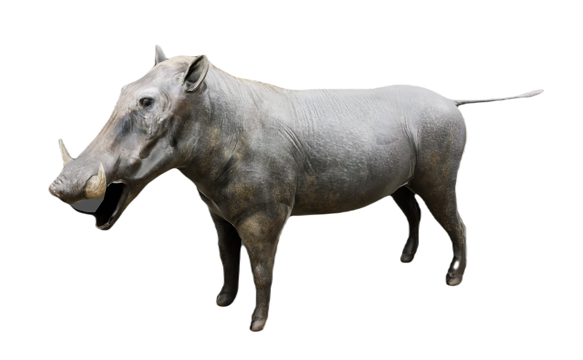 Warthog