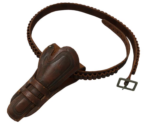LSR 2