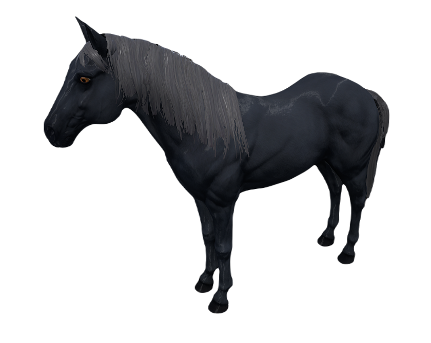 HORSE 2