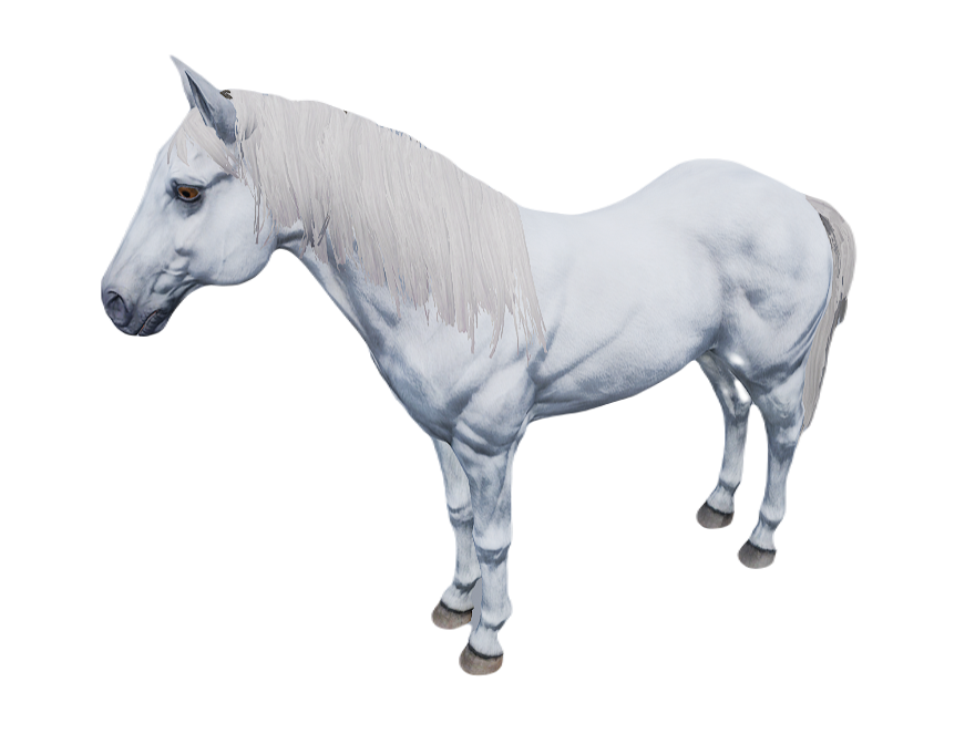 HORSE 4