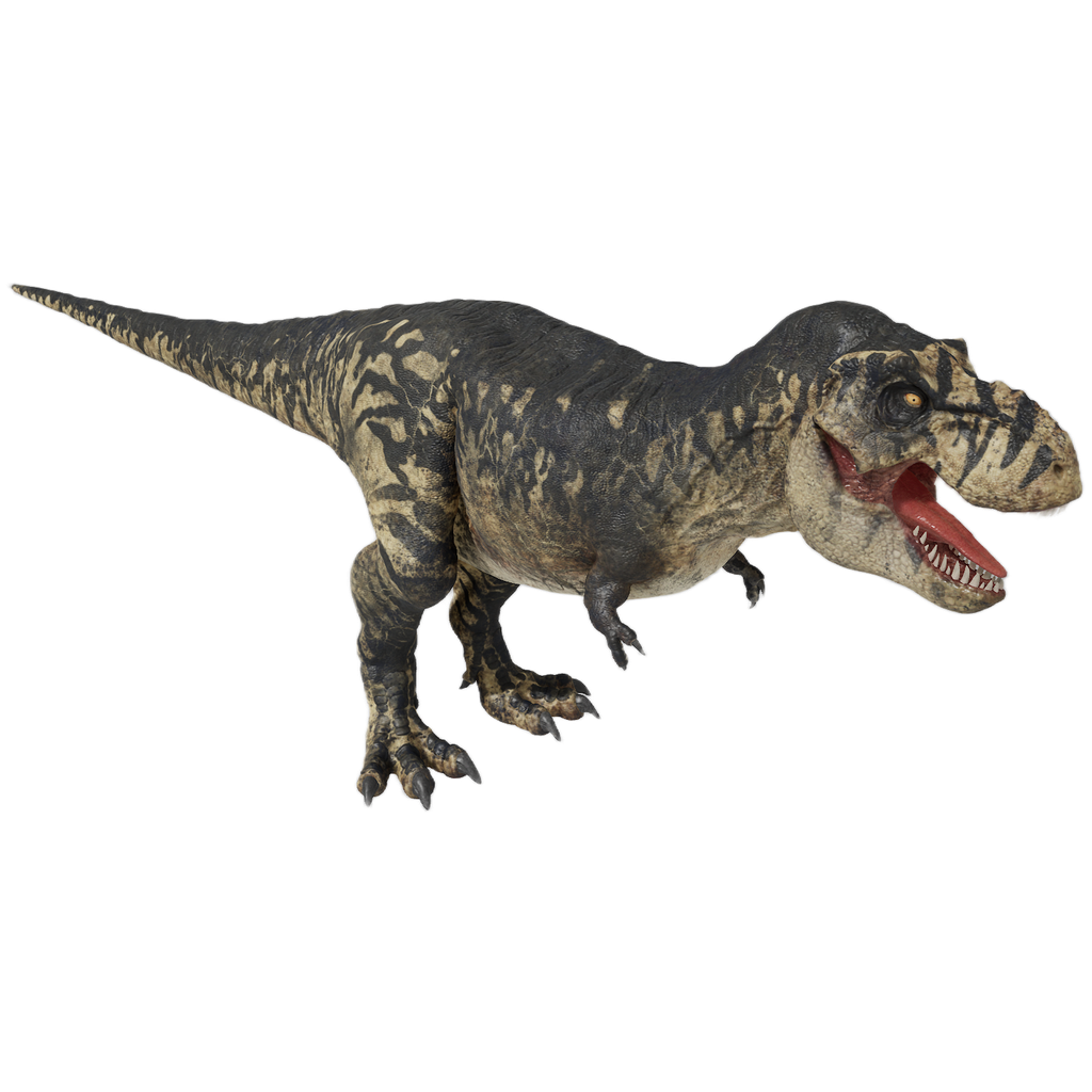 T-REX 6