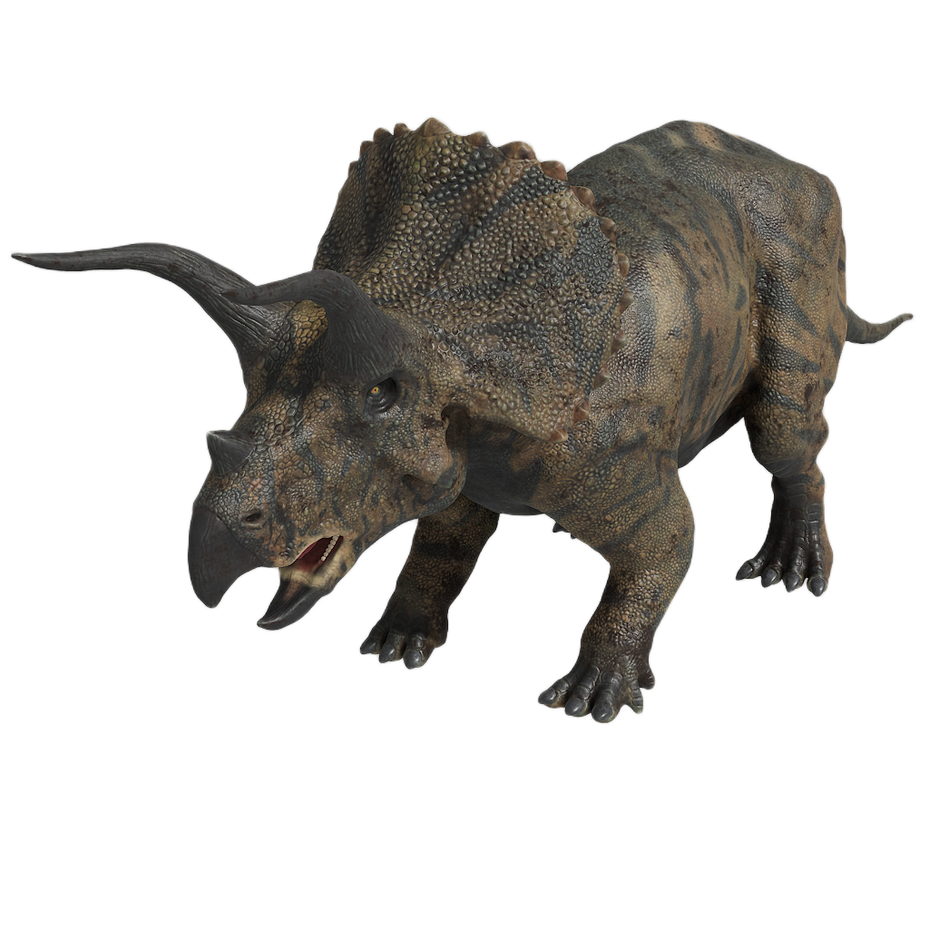 TRICERATOPS 3