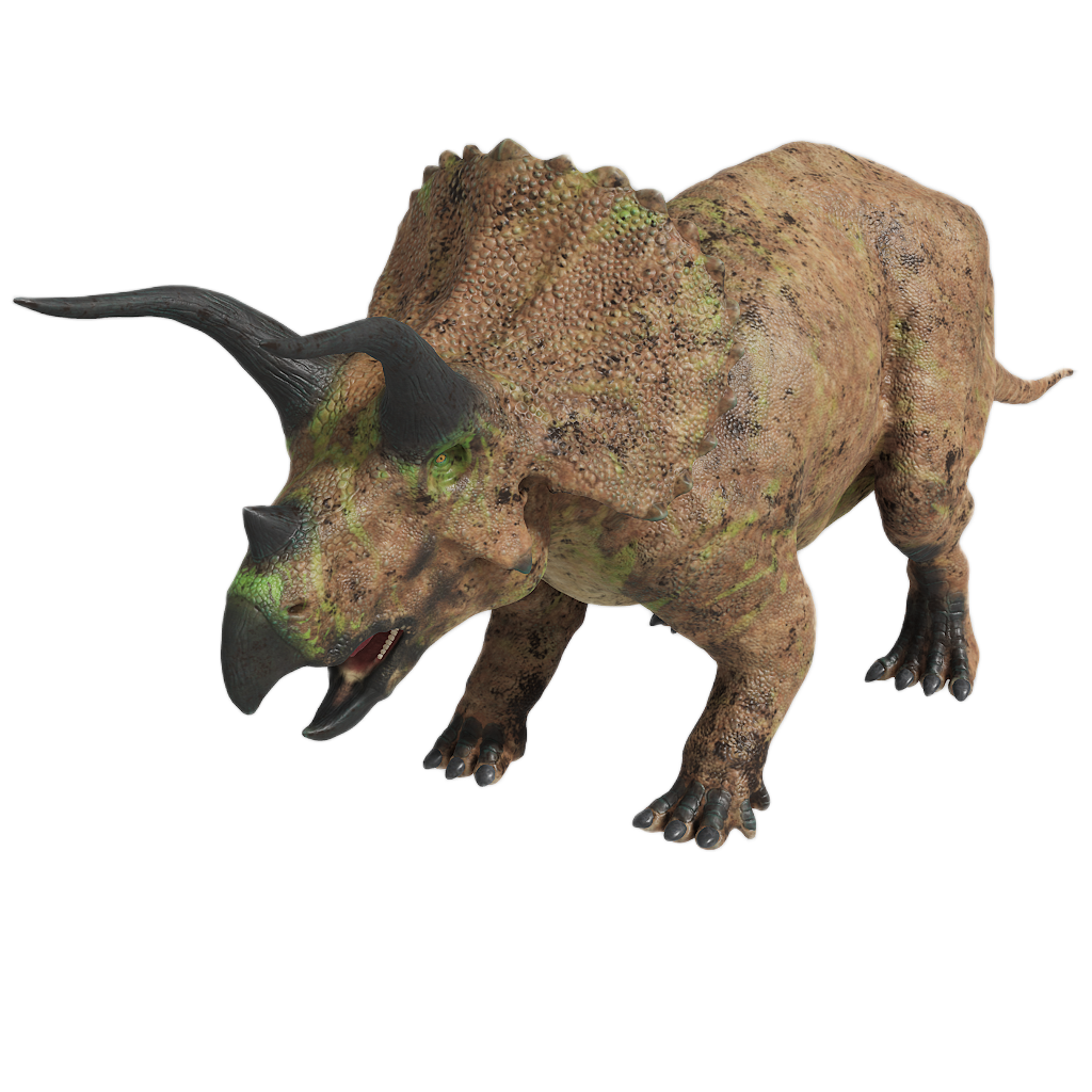 TRICERATOPS 6