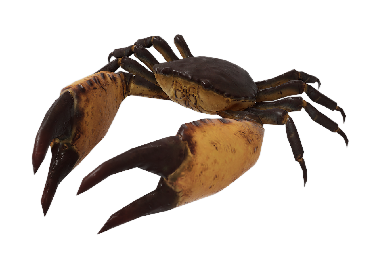Giant Stone Crab